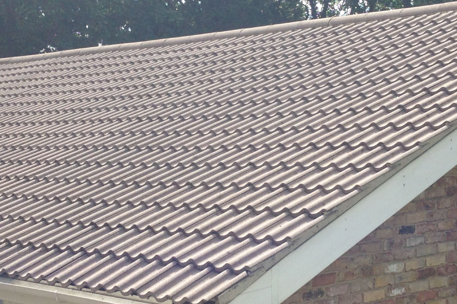 Roof Cleaning Service